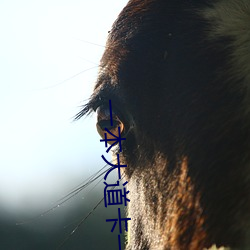 一本大道卡一卡二卡三乱码 （称功颂德）