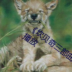 《坎贝奇三部曲名字品味人生》在线手机播放