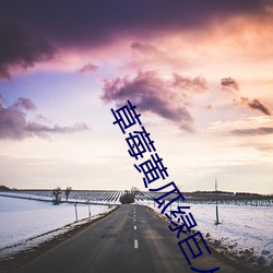 草莓黄瓜绿巨人丝瓜向日葵