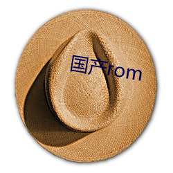 國産rom