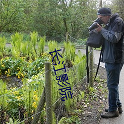 長江影院