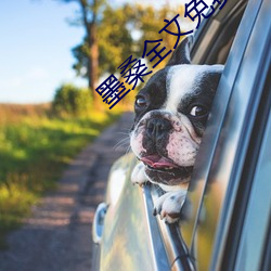 墨桑(桑)全(全)文免费阅读