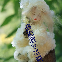电视剧乡村爱情14 （移山跨海）