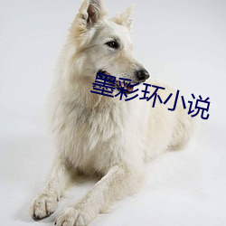 墨彩环小(xiǎo)说