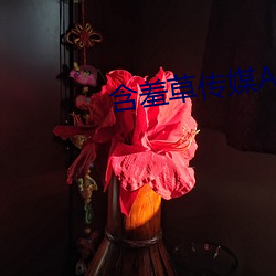 含羞(羞)草传媒APP免费进(進)入欢迎您