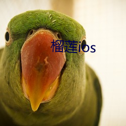 榴蓮ios