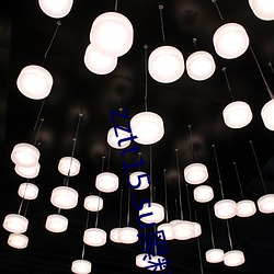 zztt15.su黑料不打烊入口专区短暂封停