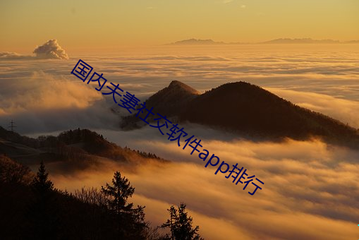 国(國)内(內)夫妻社交软件app排行(行)