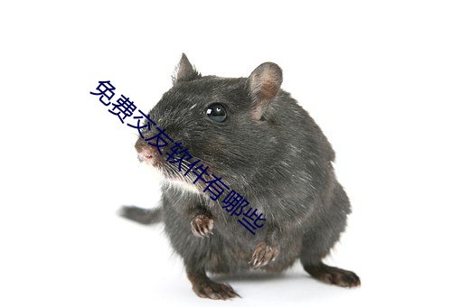 免费交友软件有哪些