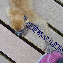 仙踪林幼儿的网站