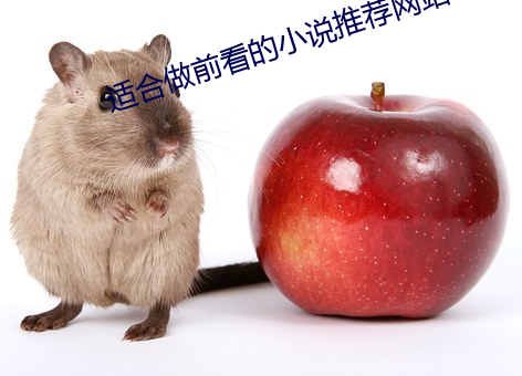 適合做前看的小說推薦網站