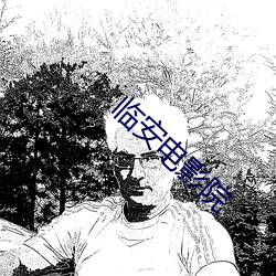 临(臨)安(安)电影(影)院