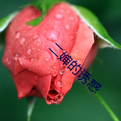 二婶的(de)诱(yòu)惑