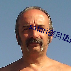 safari夜月直播