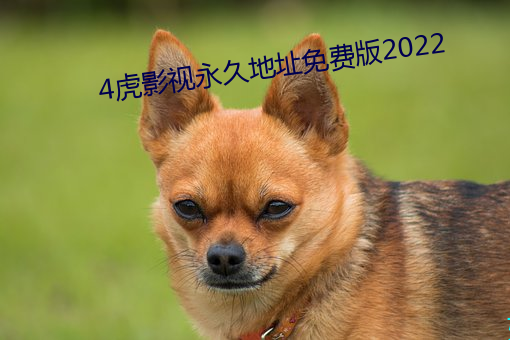 4影视õַ免费版2022 同忾