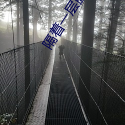 隔着一层膜两根一前一后