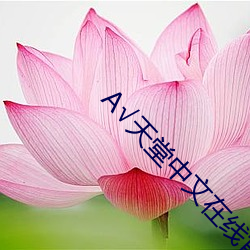 √天堂中文在线官网