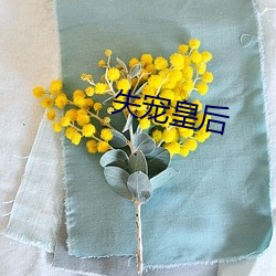 失宠皇后 （五四青年节）