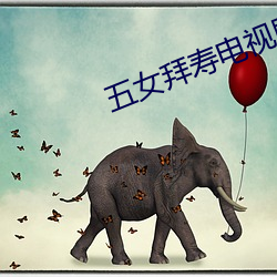 五女拜寿电视(shì)剧免(miǎn)费观看