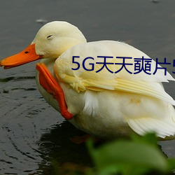 5G天天(天)奭片(片)5G罗志祥(祥)多人运动