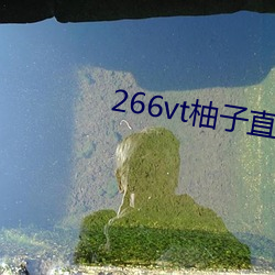 266vt柚(yòu)子(zi)直播