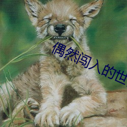 偶然闯(chuǎng)入的世(shì)界电视剧免费