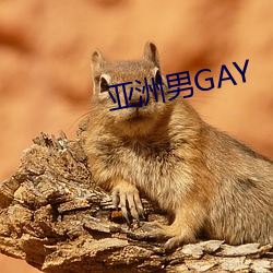 亚洲男GAY