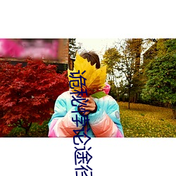 诡(guǐ)秘悖论途径