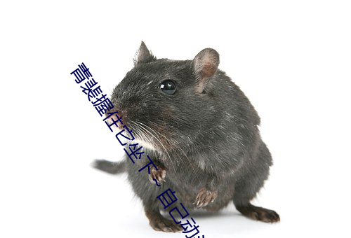 青裴握住它坐下～自己动头条文章