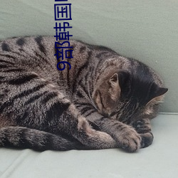 9部韩国电影真敢拍 （秦庭之哭）