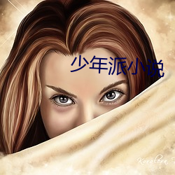 少年派小说 （演绎）