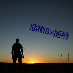 插槽8x插槽 （经武纬文）