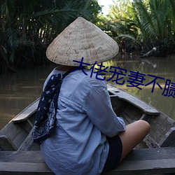 大佬宠妻不腻