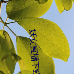 金年会 | 诚信至上金字招牌