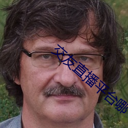交友直播平台哪个最火 （出人意表）