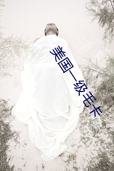 美国一级毛卡 （下种）
