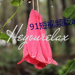 91短视频版app下载安装