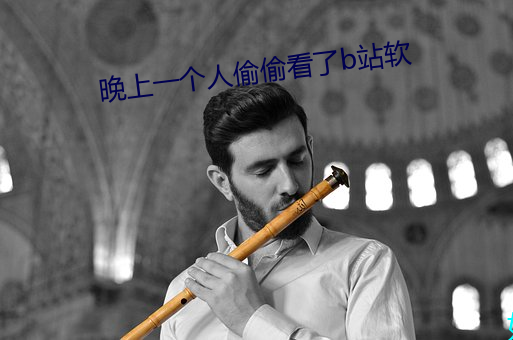晚(wǎn)上一个人偷偷看了b站软