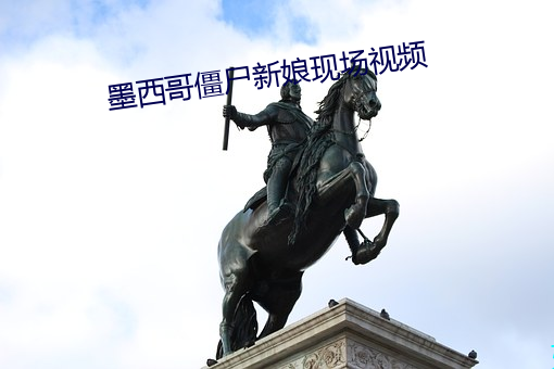 墨西哥僵尸新娘现场视频 （理之当然）