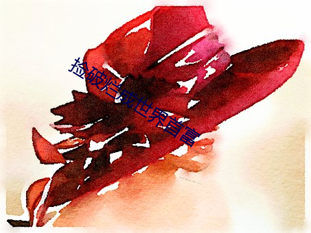 捡破(pò)烂成世界首(shǒu)富