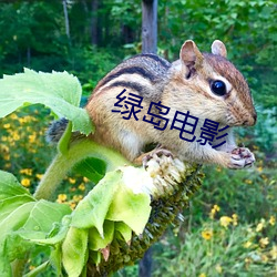 绿岛电影 粉身灰骨）