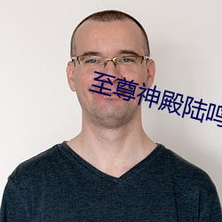 至尊神殿陆鸣免费阅读全文 （一刀两段）