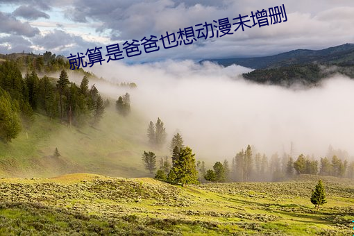 就(就)算(算)是爸爸也(也)想动漫(漫)未增删(刪)