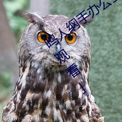 鸣人纲手办公室漫画漫画免费阅读「下拉观看」 （可望而不可即）
