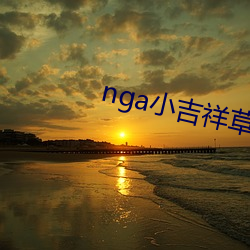 nga小吉祥草王