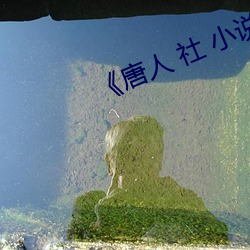 《唐(唐)人 社(社) 小说