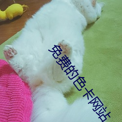 免费的色(sè)卡网站