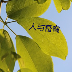 人(rén)与畜禽(qín)