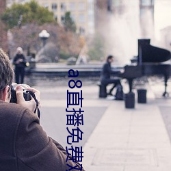 a8直播免费观看