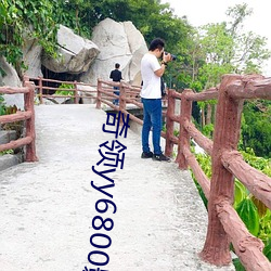 奇领yy6800影 （戳穿）